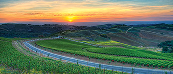 Meet our Member Wineries in Paso Robles